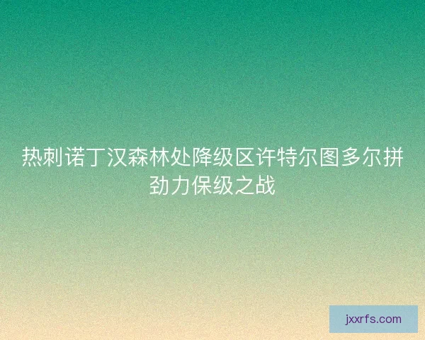 热刺诺丁汉森林处降级区许特尔图多尔拼劲力保级之战